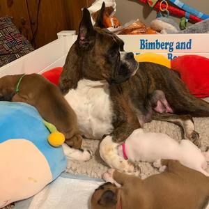 Meet your Posher, Morgan